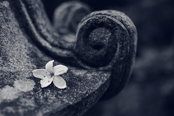 포토 JPG 해외이미지 전통 공원 꽃 아시아 종교 문화 선 조각 여행 불교 휴식 조명 미술 동양인 사람없음 야외 장식 파란색 빛 평화 정원 등불 램프 사찰 영혼 재산 심볼 청록색 대리석 무거움 동쪽 사당 옛날 정중 화강암 해외202004 해외포토 식물 공공시설 나라 컬러 컨셉 재료 종교건축 문화예술 인종 금융 암석 무게 방향 파일형식 이미지허브