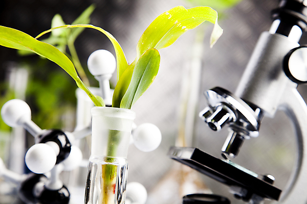 포토 JPG 해외이미지 식물 실내 현미경 실험 근접촬영 사람없음 아웃포커스 화학 실험실 흰배경 화학실험 분자구조모형 해외202004 해외포토 뷰포인트 과학 백그라운드 촬영기법 실험기구 내부 모형 흰색 분자구조 파일형식 이미지허브