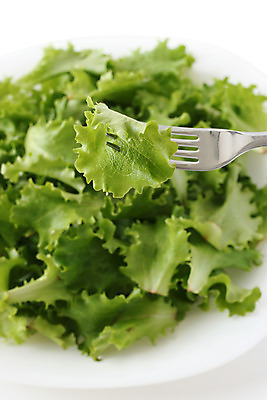 포토 JPG 해외이미지 접시 음식 포크 다이어트 채소 재료 건강 식이요법 사람없음 식사 저녁식사 샐러드 흰색 신선 고명 상추 점심식사 생식 채식주의자 해외202004 해외포토 식기 컬러 채식 파일형식 이미지허브