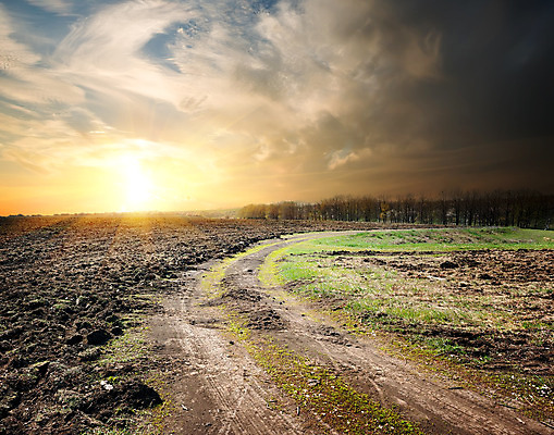 포토 JPG 해외이미지 나무 도로 백그라운드 하늘 풍경 사람없음 야외 햇빛 태양 일출 일몰 오솔길 땅 언덕 자연백그라운드 평야 해외202004 해외포토 자연요소 식물 길 교통시설 자연 노을 파일형식 이미지허브