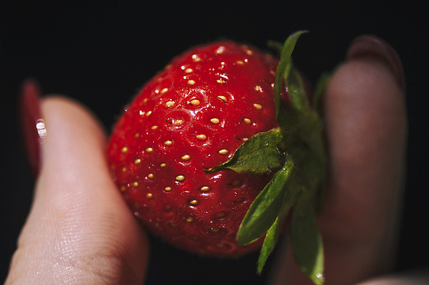 포토 JPG 해외이미지 손 여자 열매 음식 과일 손가락 자연 딸기 건강 사람 사람없음 빨간색 초록색 신선 잡기 달콤 아침식사 먹기 유기농 고립 해외202004 해외포토 식물 웰빙 컬러 모션 신체부위 식사 맛 생태계 파일형식 이미지허브