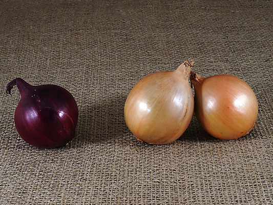 포토 JPG 해외이미지 음식 농업 다이어트 채소 재료 양파 건강 요리 사람없음 빨간색 주방 껍질 흰색 신선 양념 시장 자르기 피부 향신료 날것 해외202004 해외포토 산업 컬러 모션 신체부위 향미료 파일형식 이미지허브