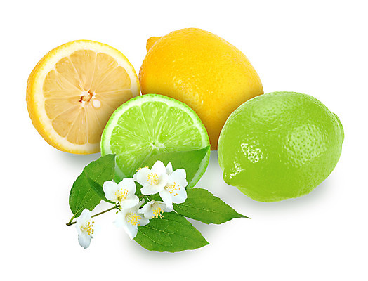 포토 JPG 해외이미지 라이프스타일 계절 꽃 음식 백그라운드 잎 채소 과일 재료 자연 귤 건강 그림자 사람없음 초록색 노란색 흰색 신선 그룹 닫기 달콤 먹기 레몬 가득함 오브젝트 날것 라임 흙더미 숙성 채식주의자 해외202004 해외포토 식물 컬러 모션 생활 흙 맛 생태계 채식 파일형식 더미 이미지허브