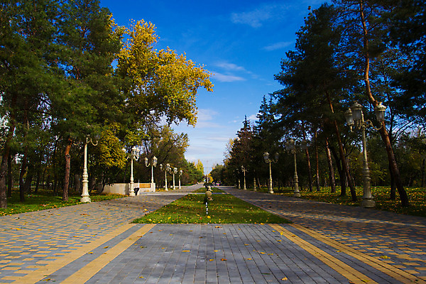 포토 JPG 해외이미지 나무 계절 공원 잎 자연 하늘 풍경 사람없음 목재 빨간색 초록색 갈색 노란색 맑음 침묵 활발 젖음 가을 도시 보호 숲 해외202004 해외포토 식물 공공시설 컬러 컨셉 재료 날씨 소리 생태계 파일형식 이미지허브