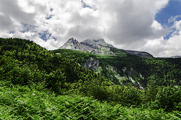 포토 JPG 해외이미지 나무 구름 응시 유럽 겨울 자연 하늘 산 그림자 풍경 사람없음 야외 초록색 파란색 빛 컬러풀 환경 계곡 흰색 스페인 숲 땅 언덕 내추럴 로스앤젤레스 해외202004 해외포토 자연요소 식물 시선 계절 나라 컬러 미국 생태계 파일형식 이미지허브
