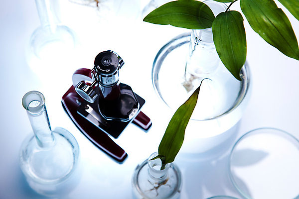 포토 JPG 해외이미지 식물 실내 현미경 실험 사람없음 액체 화학 실험실 플라스크 흰배경 비커 화학실험 샬레 해외202004 해외포토 과학 백그라운드 실험기구 내부 흰색 파일형식 이미지허브