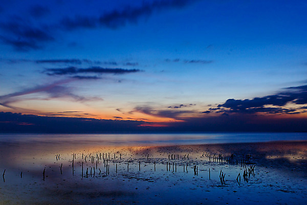 포토 JPG 해외이미지 구름 계절 모래 바다 여행 백그라운드 오렌지 자연 벽지 하늘 아침 날씨 추상 휴가 풍경 사람없음 야외 빨간색 물 여름 파란색 빛 햇빛 태양 반사 평화 일출 맑음 황혼 일몰 새벽 황금 야간 저녁 만들기 장면 공상 수평선 해외202004 해외포토 주간 자연요소 컬러 컨셉 무늬 과일 모션 노을 생태계 파일형식 이미지허브