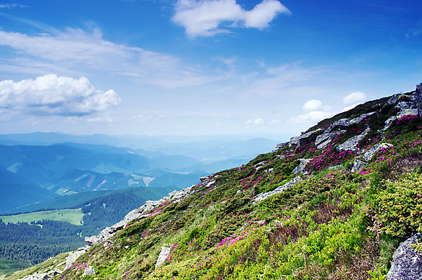포토 JPG 해외이미지 식물 구름 계절 꽃 분홍색 하늘 산 주택 풍경 경사 사람없음 야외 빨간색 초록색 여름 파란색 맑음 벚꽃 바위 개화 성 정상 진달래 언덕 폐허 그림 산등성이 전망대 산악지대 우크라이나 해외202004 해외포토 자연요소 건축물 유럽 컬러 날씨 건물 돌_바위 파일형식 이미지허브