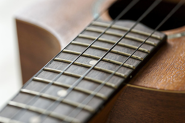 포토 JPG 해외이미지 음악 사람없음 목재 기구 닫기 해외202004 해외포토 나무 재료 모션 문화예술 파일형식 이미지허브