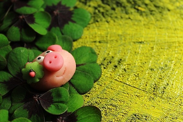 포토 JPG 해외이미지 백그라운드 새로움 새해 사람없음 목재 노란색 검은색 희망 돼지 생일 행운 클로버 심볼 해외202004 해외포토 나무 기념일 감정 컬러 컨셉 재료 포유류 파일형식 이미지허브