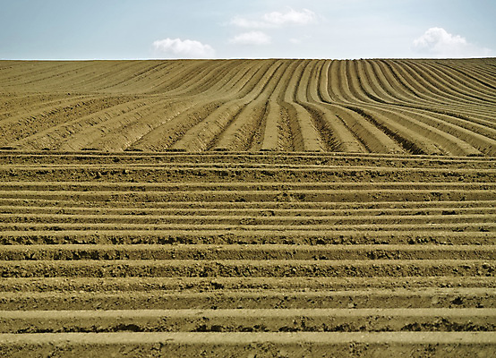 포토 JPG 해외이미지 계절 산업 지구 선 패턴 밭 농업 자연 감자 풍경 사람없음 농장 농경지 갈색 환경 흙 봄 줄무늬 성장 시골 작업 땅 만취 뿌리기 질감 대칭 땅바닥 밭일 선로 심기 쟁기 줄서기 직진 세련 해외202004 해외포토 컬러 무늬 채소 모션 바닥 생태계 술취함 파일형식 이미지허브
