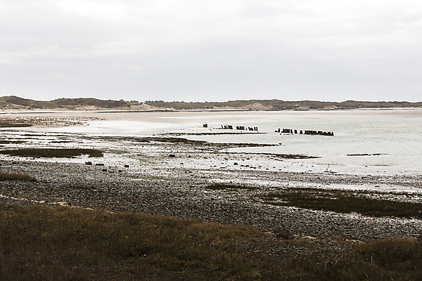 포토 JPG 해외이미지 구름 물결 모래 파도 바다 여행 자연 조류 하늘 휴가 풍경 사람없음 야외 물 여름 여행객 봄 프랑스 서핑 북쪽 종료 노르망디 단절 서쪽 소금물 해외202004 해외포토 자연요소 동물 계절 유럽 사람 수상스포츠 방향 생태계 파일형식 이미지허브
