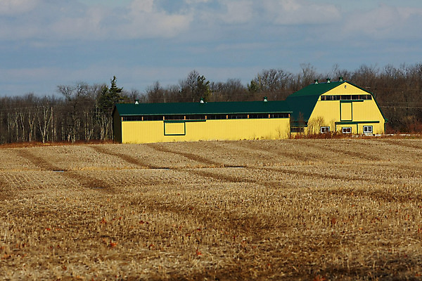포토 JPG 해외이미지 나무 구름 벽 잎 농업 건축양식 창문 자연 하늘 날씨 풍경 사람없음 야외 건물 목재 빨간색 초록색 여름 파란색 컬러풀 농장 농경지 갈색 문 흰색 시골 역사 널 주식 대문 헛간 밭일 옛날 해외202004 해외포토 자연요소 식물 건축물 계절 건축 산업 컬러 재료 금융 생태계 저장고 파일형식 이미지허브