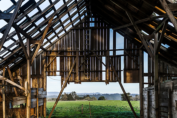 포토 JPG 해외이미지 백그라운드 밭 농업 건축양식 창문 날씨 바닥 주택 실내 풍경 사람없음 내부 건물 목재 빛 농가 농장 문 손상 방 시골 역사 버리기 먼지 밀짚 헛간 외양간 그런지 옛날 워싱턴 해외202004 해외포토 나무 건축물 건축 산업 컨셉 재료 모션 미국 짚 저장고 파일형식 이미지허브