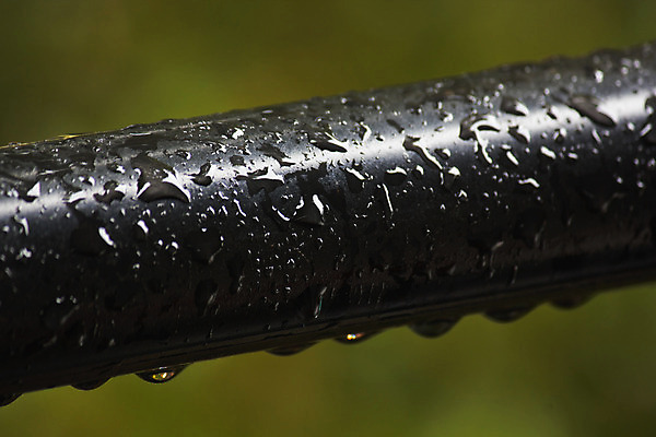 포토 JPG 해외이미지 계절 백그라운드 컨셉 난간 날씨 추상 사람없음 야외 가로 초록색 물 여름 금속 검은색 사진촬영 봄 젖음 촉촉함 물방울 바 원형 떨어짐 수분 질감 빗물 남아프리카 샤워실 철강 철책 해외202004 해외포토 자연요소 도형 컬러 무늬 아프리카 재질 촬영 비_날씨 샤워시설 파일형식 이미지허브