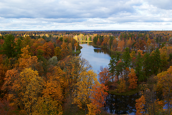 포토 JPG 해외이미지 나무 구름 공원 호수 잎 자연 하늘 파노라마 풍경 사람없음 목재 빨간색 물 파란색 강 태양 반사 노란색 평화 보라색 침묵 가을 시골 연못 황금 숲 자작나무 천연기념물 해외202004 해외포토 자연요소 식물 계절 공공시설 컬러 컨셉 재료 촬영기법 소리 생태계 파일형식 이미지허브