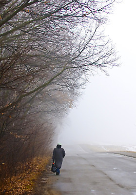 포토 JPG 해외이미지 나무 도로 길 여행 겨울 밭 자연 아침 날씨 사람없음 마을 산책 회색 추위 안개 가을 나뭇가지 시골 숲 신비 아스팔트 내추럴 방법 우크라이나 해외202004 해외포토 주간 식물 계절 유럽 컬러 컨셉 농업 교통시설 휴식 생태계 파일형식 이미지허브