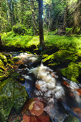 포토 JPG 해외이미지 나무 식물 계절 공원 잎 모션 자연 풍경 사람없음 야외 물 여름 빛 강 달리기 햇빛 태양 평화 환경 맑음 침묵 봄 거품 폭포 젖음 흐름 바위 시골 개울 떨어짐 숲 크리스탈 속도 내추럴 해외202004 해외포토 자연요소 공공시설 컨셉 날씨 소리 돌_바위 광석 생태계 파일형식 이미지허브