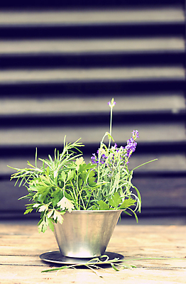 포토 JPG 해외이미지 식물 벽 건조 파슬리 건강 사람없음 야외 목재 여름 약 주방 정원 수확 시골 신선 다발 허브 향신료 라벤더 로즈메리 해외202004 해외포토 나무 계절 꽃 농업 채소 재료 의학 향미료 파일형식 이미지허브