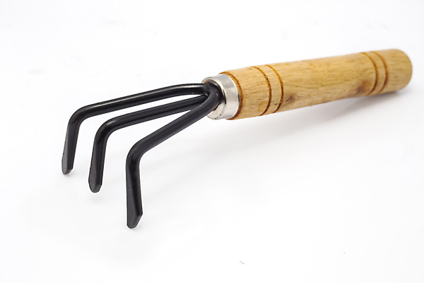 포토 JPG 해외이미지 식물 포크 새로움 주택 3 손잡이 잔디 사람없음 야외 목재 농장 갈색 금속 정원 검은색 봄 장비 흰색 공구 업무 그룹 선택 자르기 모종삽 삽 오브젝트 국자 원예 조경 갈퀴 고립 땅파기 옛날 원예사 집게발 철강 하드웨어 해외202004 해외포토 나무 직업 식기 계절 컬러 컨셉 농업 재료 모션 재질 주방용품 취미 건물 컴퓨터 도구 작업 파일형식 이미지허브