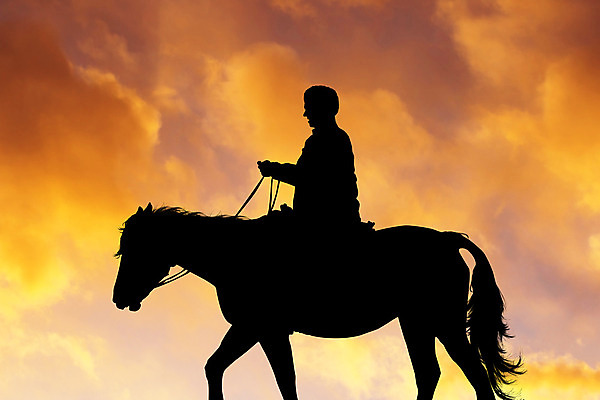 포토 JPG 해외이미지 실루엣 일러스트 포유류 자연 휴가 사람없음 야외 태양 일몰 하이킹 갈기 해외202004 해외포토 자연요소 동물 레저 촬영기법 노을 생태계 파일형식 이미지허브