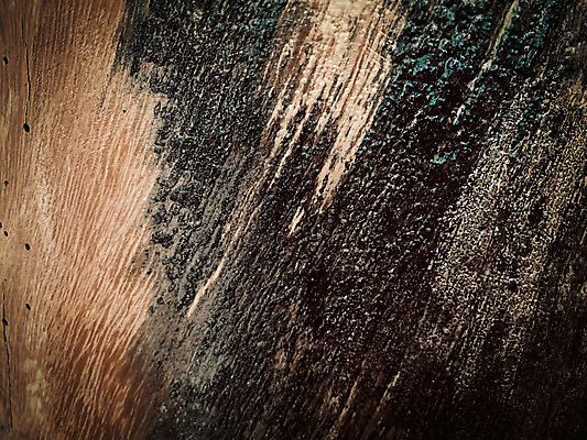 포토 JPG 해외이미지 나무 디자인 벽 백그라운드 패턴 자연 표면 추상 사람없음 목재 장식 갈색 수확 판넬 거친 널 질감 복고 내추럴 구식 그런지 수목 옛날 해외202004 해외포토 식물 컬러 무늬 농업 재료 생태계 파일형식 이미지허브