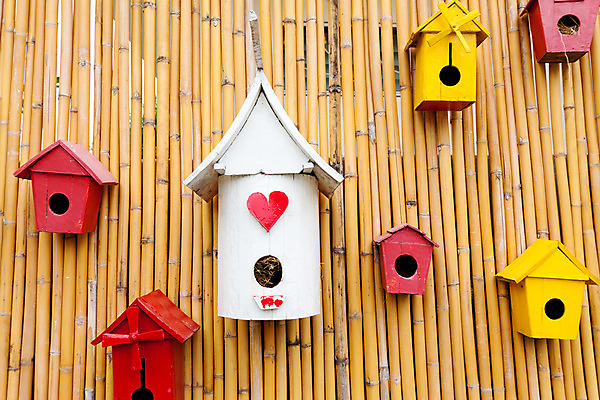 포토 JPG 해외이미지 손 계절 꽃 야생동물 분홍색 오렌지 자연 조류 지붕 주택 취미 사람없음 목재 장식 가로 빨간색 초록색 파란색 컬러풀 노란색 정원 봄 흰색 시골 구멍 그리기 둥지 볏짚 보호 숲 작음 공예 손목시계 오브젝트 참새 새장 봉 서식지 라벤더 T 프로젝트 핸드메이드 해외202004 해외포토 나무 식물 동물 알파벳 시계 컬러 컨셉 과일 재료 장신구 모션 건물 신체부위 짚 크기 허브 생태계 케이지 파일형식 이미지허브