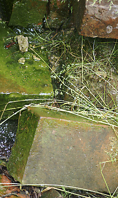 포토 JPG 해외이미지 벽돌 사람없음 초록색 쌓기 어둠 습기 물방울 해조류 가장자리 파편 이슬 수분 해외202004 해외포토 컬러 모션 해양식물 둘레 파일형식 이미지허브