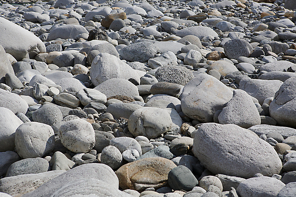포토 JPG 해외이미지 배너 백그라운드 자연 벽지 추상 사람없음 환경 회색 질감 내추럴 생태학 많음 해외202004 해외포토 교육 컬러 컨셉 무늬 생태계 파일형식 이미지허브