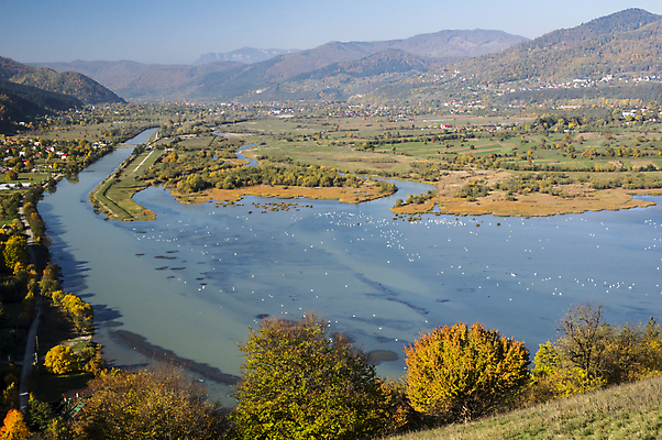 포토 JPG 해외이미지 나무 식물 계절 호수 잎 자연 하늘 산 주택 파노라마 협상 풍경 사람없음 야외 가로 빨간색 초록색 물 파란색 강 컬러풀 농장 노란색 마을 환경 계곡 가을 시골 정상 숲 언덕 루마니아 10월 내추럴 해외202004 해외포토 자연요소 유럽 컬러 농업 비즈니스 촬영기법 건물 날짜 생태계 파일형식 이미지허브