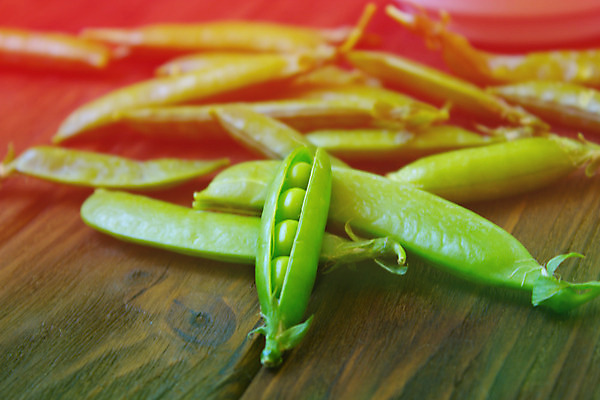 포토 JPG 해외이미지 식물 음료 음식 잎 농업 채소 과일 자연 탁자 콩 건강 씨앗 사람없음 초록색 갈색 주방 허브 오브젝트 유기농 완두콩 날것 성분 흙더미 꼬투리 숙성 여의주 해외202004 해외포토 웰빙 산업 컬러 가구 곡류 흙 생태계 파일형식 더미 이미지허브
