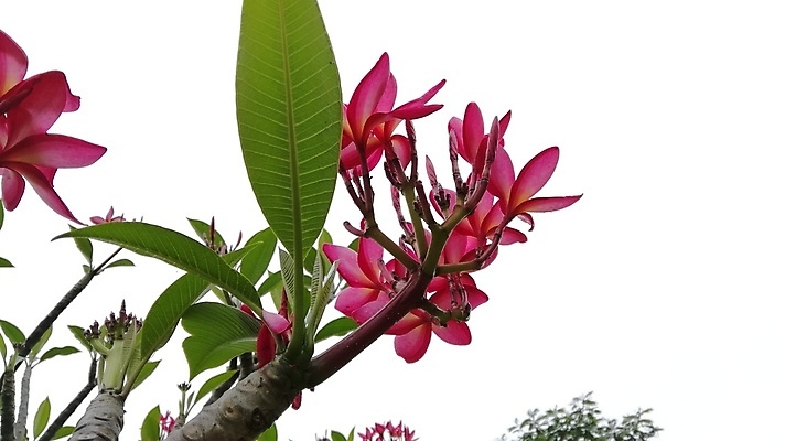 포토 JPG 해외이미지 사람없음 해외202004 해외포토 파일형식 이미지허브