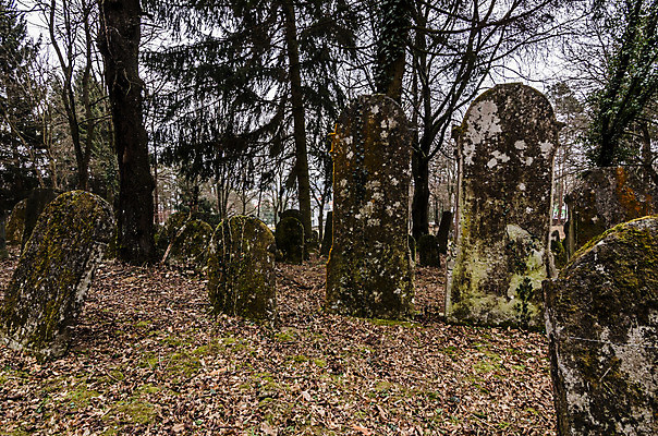 포토 JPG 해외이미지 꽃 기독교 종교 지구 백그라운드 십자가 부활절 사람없음 목재 조각상 검은색 성경 바위 기도 죽음 예수 영혼 목사 심볼 애도 신성 땅파기 신앙심 옛날 장례식 오싹 해외202004 해외포토 나무 식물 기념일 컬러 재료 종교용품 조형물 신_종교 성직자 파일형식 이미지허브