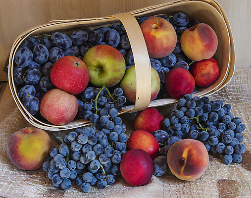 포토 JPG 해외이미지 음식 농업 채소 건강 사람없음 초록색 농장 가을 수집 날것 고립 해외202004 해외포토 계절 산업 컬러 파일형식 이미지허브