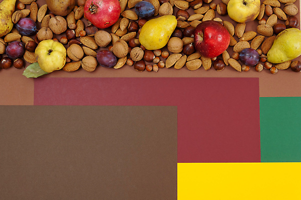 포토 JPG 해외이미지 나무 식물 디자인 계절 음식 백그라운드 컨셉 단풍 잎 농업 다이어트 채소 과일 재료 자연 호박 건강 종류 사람없음 장식 빨간색 갈색 할로윈 수확 가을 신선 그룹 달콤 사과 수집 유기농 날것 호두 아몬드 추수감사절 자두 내추럴 숙성 채식주의자 개암 카피스페이스 해외202004 해외포토 웰빙 열매 산업 기독교 컬러 공백 견과류 맛 생태계 채식 파일형식 이미지허브