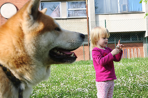 포토 JPG 해외이미지 동물 공원 여자 행복 어린이 가족 놀이 함께함 한명 반려동물 개 민들레 걸음마 해외202004 해외포토 1 공공시설 꽃 감정 컨셉 포유류 관계 모션 사람 파일형식 이미지허브