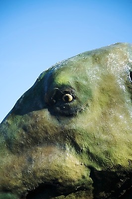 포토 JPG 해외이미지 식물 동물 공원 유럽 인형 파충류 자연 놀이 산 사람없음 야외 숫자 바위 스페인 큼 플라스틱 언덕 공룡 거인 내추럴 쥬라기 해외202004 해외포토 문자 공공시설 나라 재질 돌_바위 크기 생태계 파일형식 이미지허브