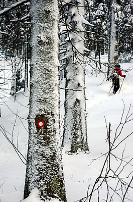 포토 JPG 해외이미지 나무 길 여행 겨울 배낭 자국 자연 산 건강 한명 사람 야외 빨간색 냉동 산책 트래킹 하이킹 흰색 숲 흔적 사인 서리 방법 하이커 가문비나무 해외202004 해외포토 식물 1 계절 컬러 가방 레저 휴식 생태계 파일형식 이미지허브