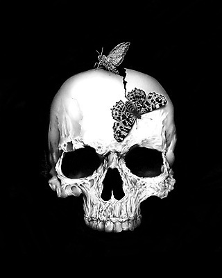 포토 JPG 해외이미지 컨셉 뼈 흑백 사람없음 죽음 영혼 그림 해골모형 해외202004 해외포토 촬영기법 모형 파일형식 이미지허브