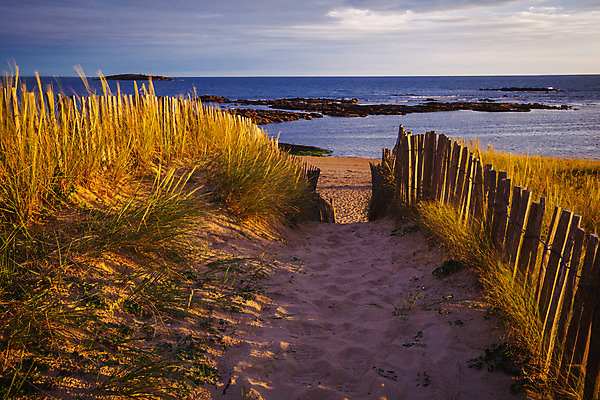 포토 JPG 해외이미지 유럽 길 모래 바다 여행 자연 하늘 풍경 사람없음 목재 초록색 물 여름 파란색 울타리 일몰 프랑스 오솔길 모래언덕 대서양 해외202004 해외포토 자연요소 나무 계절 나라 컬러 재료 담장 노을 언덕 생태계 파일형식 이미지허브