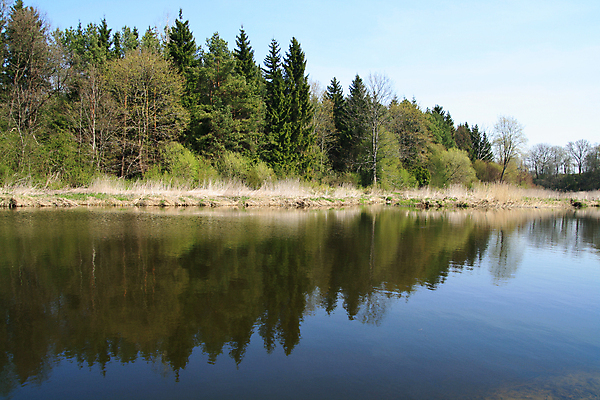 포토 JPG 해외이미지 디자인 계절 공원 여행 백그라운드 자연 이끼 풍경 사람없음 초록색 강 환경 정원 봄 바위 시골 개울 숲 내추럴 생태학 순간 해외202004 해외포토 공공시설 교육 컬러 돌_바위 생태계 파일형식 이미지허브