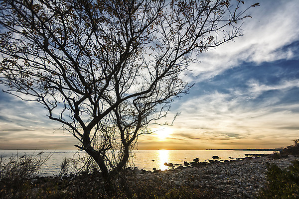 포토 JPG 해외이미지 나무 구름 공원 행복 파도 바다 하늘 날씨 휴가 휴식 풍경 사람없음 물 태양 평화 미국 희망 힘 침묵 일몰 젖음 자유 황무지 고독 보호 저녁 암초 드라마 멀리 보호구역 수평선 해외202004 해외포토 자연요소 식물 공공시설 감정 컨셉 북아메리카 노을 소리 야간 구역 파일형식 이미지허브