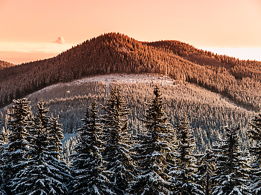 포토 JPG 해외이미지 나무 계절 여행 백그라운드 크리스마스 겨울 자연 하늘 아침 동화 휴가 스키 조명 새로움 산 풍경 사람없음 야외 목재 태양 일출 맑음 일몰 하이킹 추위 덮개 저녁 숲 연도 언덕 산등성이 서리 문학 장면 전나무 산악지대 절정 폭설 눈내림 가문비나무 겨울풍경 해외202004 해외포토 주간 자연요소 식물 기념일 컨셉 재료 레저 날씨 겨울스포츠 눈_날씨 노을 뚜껑 야간 자연재해 생태계 파일형식 이미지허브