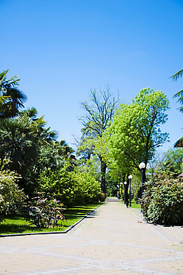 포토 JPG 해외이미지 모양 나무 공원 잎 건축양식 자연 하늘 주택 따뜻함 손바닥 사람없음 야외 목재 초록색 컬러풀 노란색 맑음 봄 산책 나뭇가지 신선 관목 해외202004 해외포토 식물 손 계절 공공시설 건축 컬러 재료 날씨 휴식 건물 생태계 파일형식 이미지허브