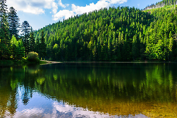 포토 JPG 해외이미지 나무 구름 공원 호수 여행 자연 하늘 아침 산 풍경 사람없음 야외 가로 초록색 물 여름 파란색 강 반사 평화 봄 바위 흰색 도시 소나무 황무지 숲 산등성이 장면 내추럴 전국 해외202004 해외포토 주간 자연요소 식물 계절 공공시설 컬러 컨셉 돌_바위 생태계 파일형식 이미지허브