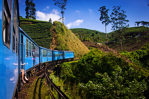 포토 JPG 해외이미지 나무 구름 아시아 여행 밭 농업 자연 하늘 산 사람 풍경 사람없음 야외 초록색 농장 계곡 기차 차 언덕 산악지대 수평선 해외202004 해외포토 자연요소 식물 나라 산업 음료 육상교통 컬러 대중교통 생태계 파일형식 이미지허브