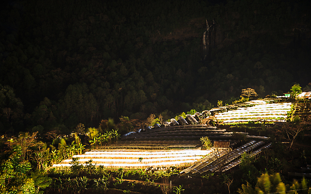 포토 JPG 해외이미지 나무 식물 계절 꽃 별 백그라운드 농업 태국 자연 하늘 지붕 새로움 산 국립공원 풍경 사람없음 야외 초록색 물 여름 빛 컬러풀 환경 계곡 폭포 성장 시골 보호 정상 유기농 장면 분무기 북쪽 내추럴 산악지대 해외202004 해외포토 자연요소 웰빙 공원 산업 아시아 컬러 컨셉 방향 생태계 파일형식 이미지허브