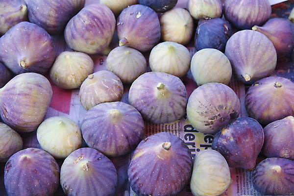 포토 JPG 해외이미지 농업 과일 디저트 건강 사람없음 검은색 줄무늬 성장 신선 유기농 칠면조 무화과 내추럴 이국적 채식주의자 해외202004 해외포토 웰빙 산업 음식 컬러 무늬 조류 채식 파일형식 이미지허브