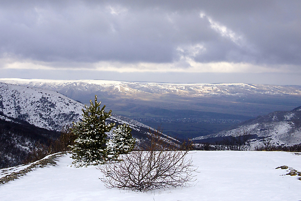 포토 JPG 해외이미지 나무 구름 계절 길 백그라운드 겨울 자연 하늘 아침 산 거리 풍경 사람없음 야외 파란색 계곡 냉동 얼음 회색 추위 덮개 흰색 숲 서리 러시아 남쪽 내추럴 절정 눈내림 가문비나무 해외202004 해외포토 주간 자연요소 식물 유럽 컬러 눈_날씨 뚜껑 방향 생태계 파일형식 이미지허브