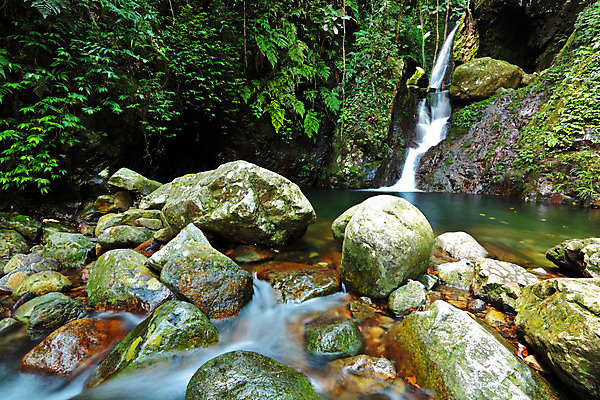 포토 JPG 해외이미지 계절 공원 꽃 잎 자연 풍경 사람없음 야외 목재 초록색 물 여름 빛 강 햇빛 태양 평화 환경 봄 폭포 젖음 흐름 가을 바위 신선 개울 떨어짐 숲 내추럴 파라다이스 해외202004 해외포토 자연요소 나무 식물 공공시설 컬러 컨셉 재료 생태계 파일형식 이미지허브